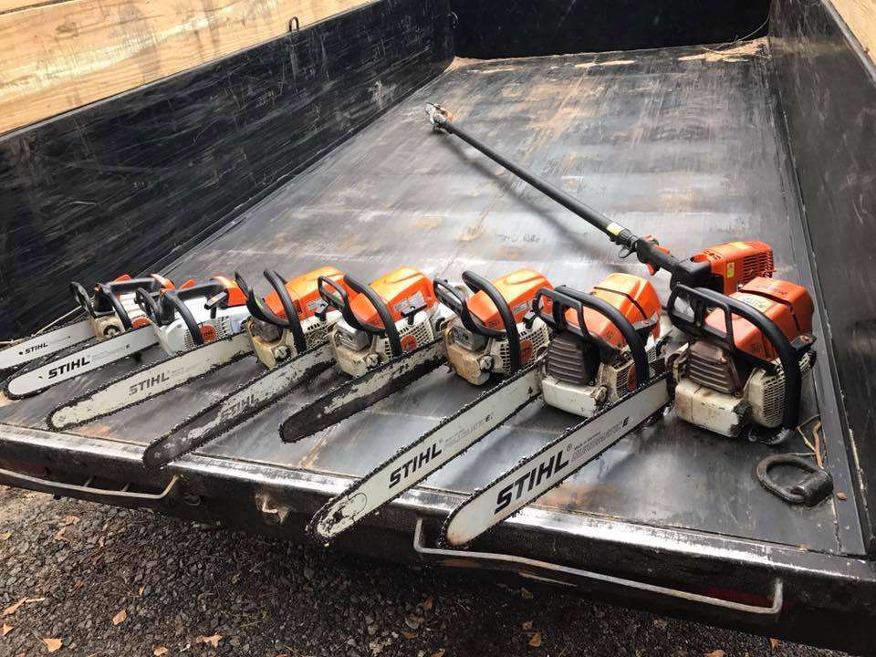 Southeastern Tree Removal | Best Tree Service in Columbia, SC ...